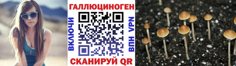 Галлюциногенные грибы GOLDEN TEACHER  Купить  Плёс 